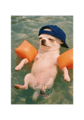 Sticker perrito