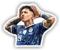 STICKERS ENZO FERNANDEZ ARGENTINA 2026